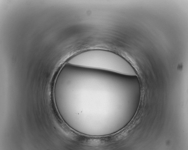 X0000095130298200712071014