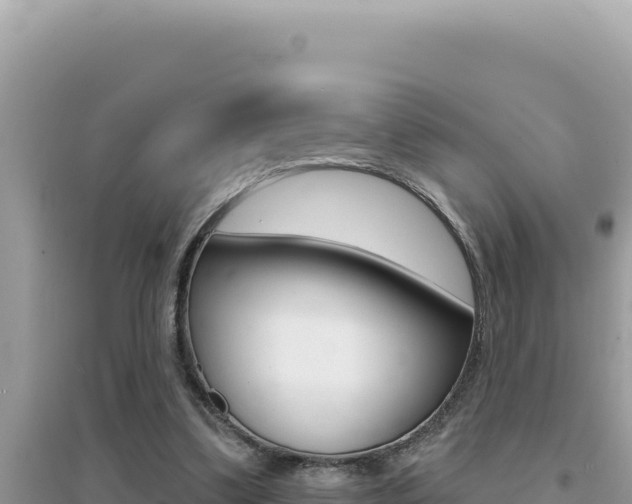 X0000095130299200712071014