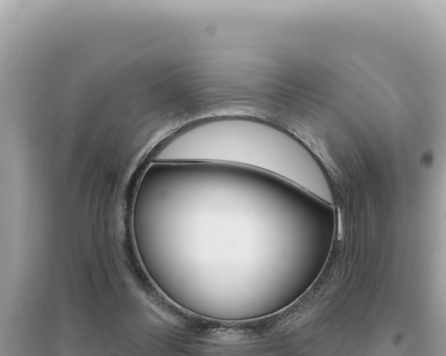X0000095130300200712071014