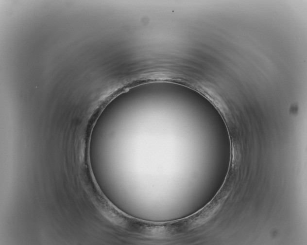 X0000095130301200712071014