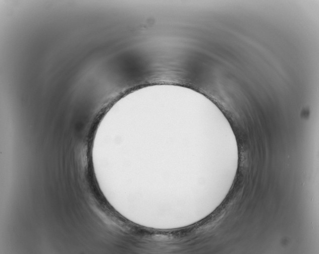 X0000095130302200712071014