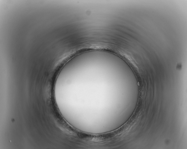 X0000095130303200712071014