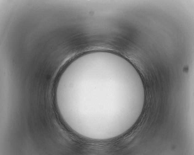 X0000095130304200712071014