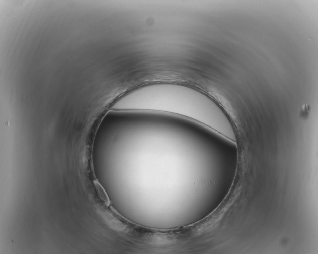 X0000095130305200712071014