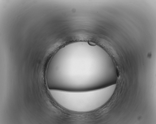X0000095130306200712071014
