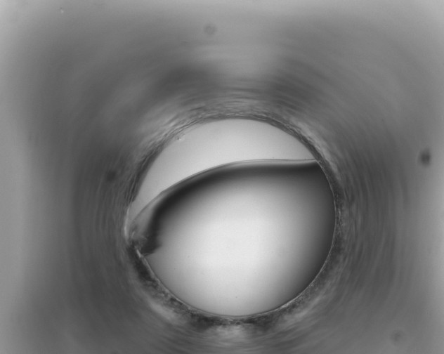 X0000095130307200712071014