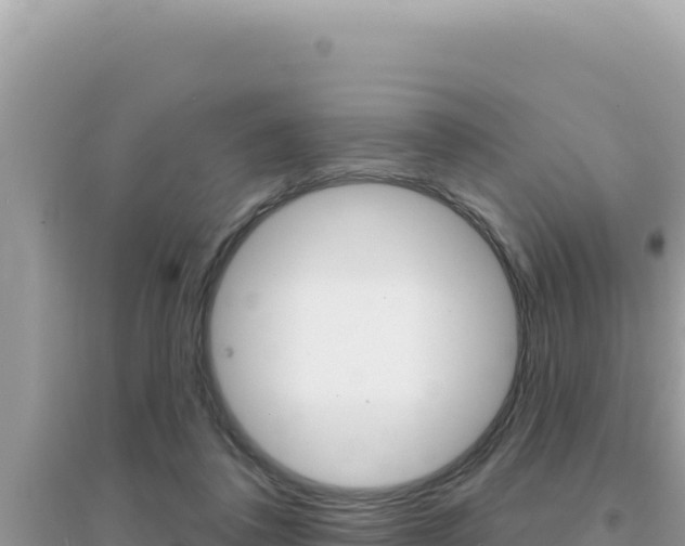 X0000095130308200712071014