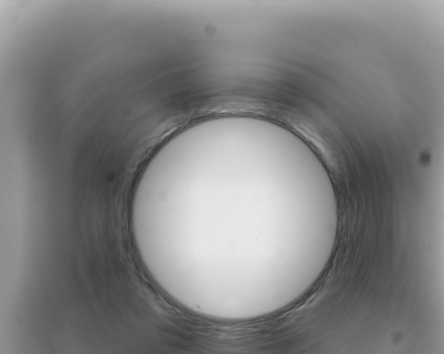 X0000095130309200712071014