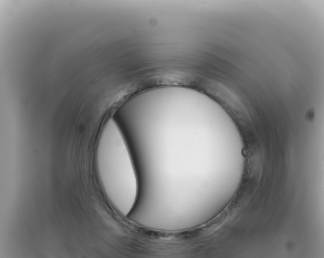 X0000095130310200712071014
