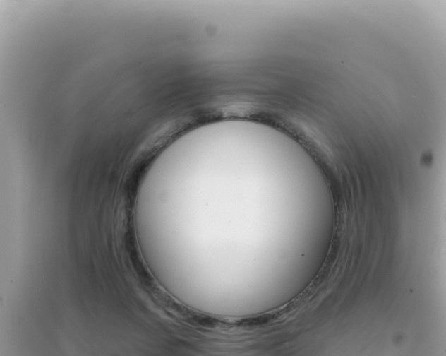 X0000095130311200712071014
