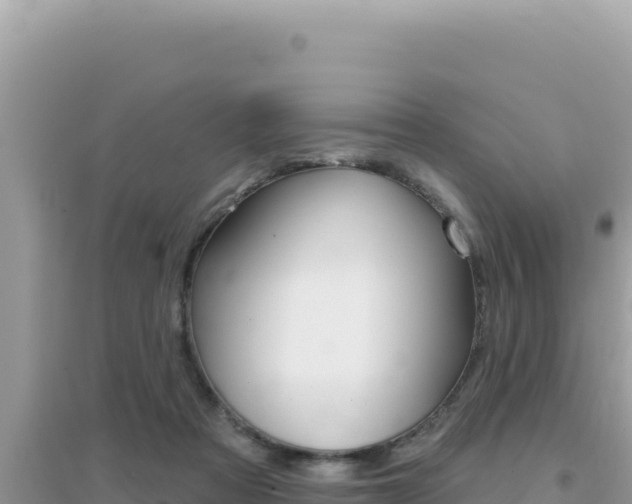 X0000095130313200712071014