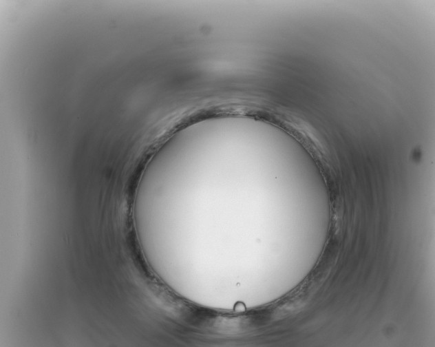 X0000095130314200712071014