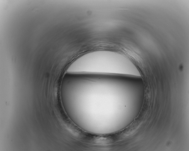 X0000095130315200712071014
