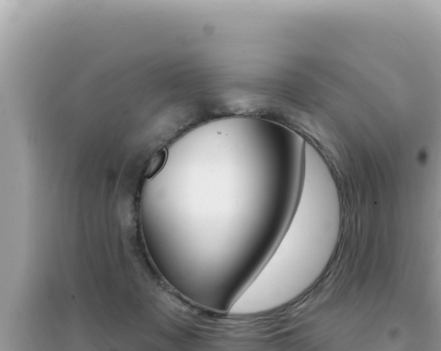 X0000095130317200712071014