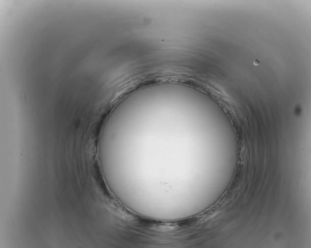 X0000095130318200712071014
