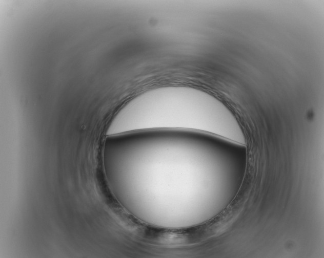 X0000095130319200712071014
