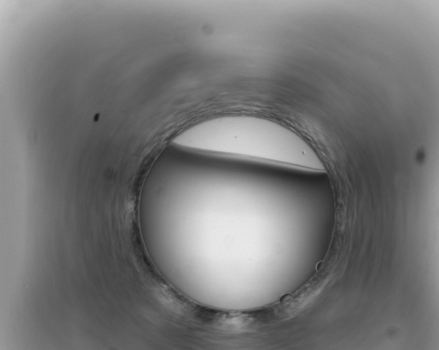 X0000095130321200712071014