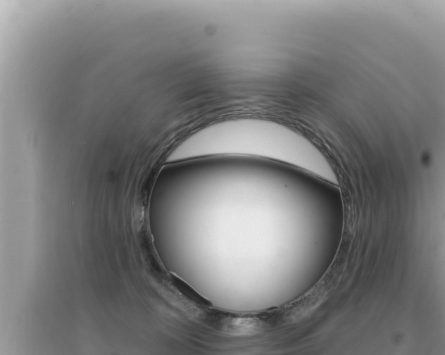 X0000095130324200712071014