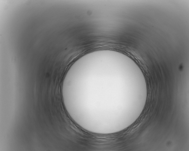 X0000095130325200712071014