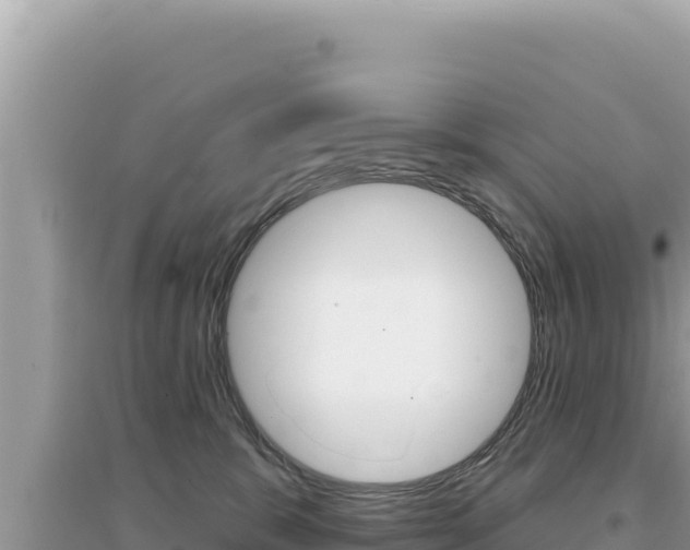 X0000095130327200712071014