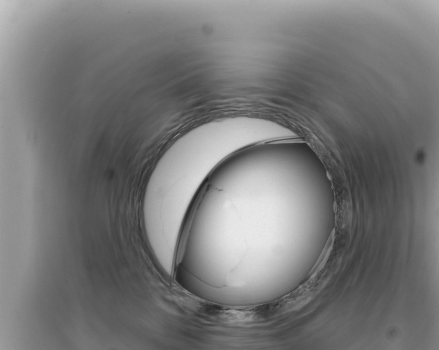 X0000095130328200712071014