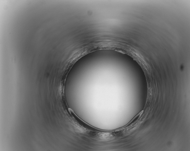X0000095130333200712071014
