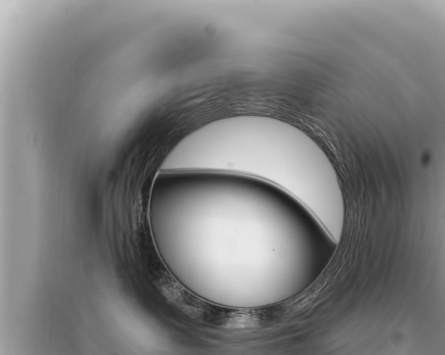 X0000095130335200712071014