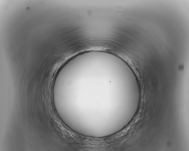 X0000095130337200712071013