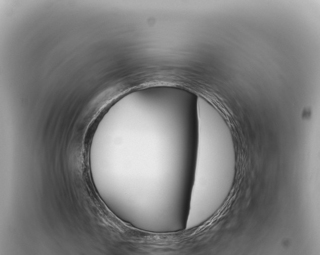 X0000095130338200712071013