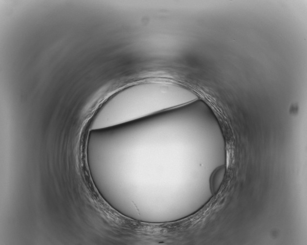X0000095130339200712071013
