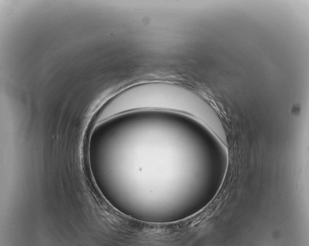 X0000095130340200712071013