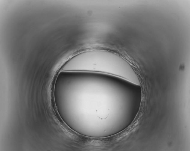 X0000095130341200712071013