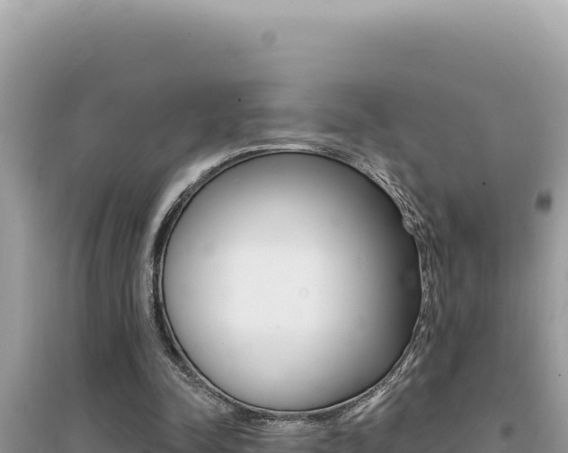 X0000095130342200712071013