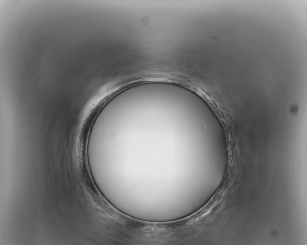 X0000095130343200712071013