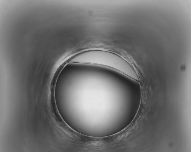 X0000095130344200712071013