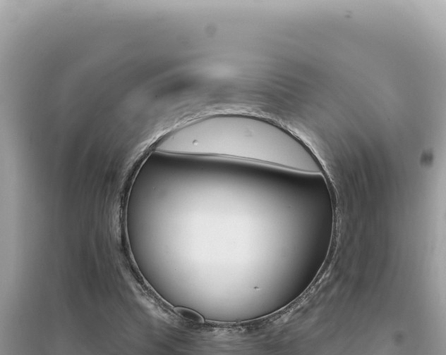 X0000095130345200712071013