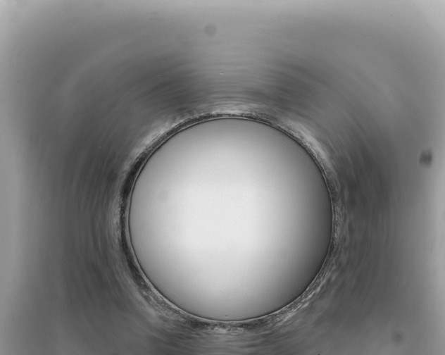 X0000095130346200712071013