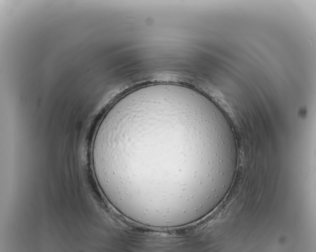 X0000095130347200712071013