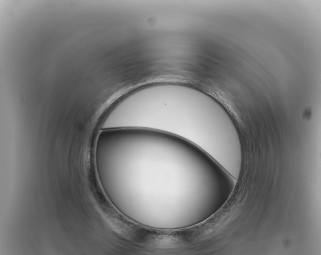 X0000095130348200712071013