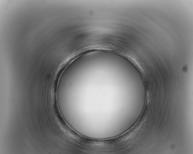 X0000095130349200712071013
