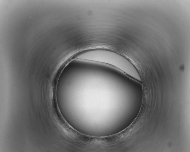 X0000095130350200712071013