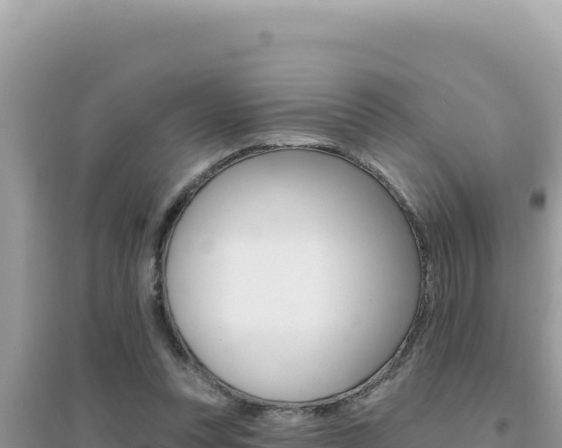 X0000095130351200712071013