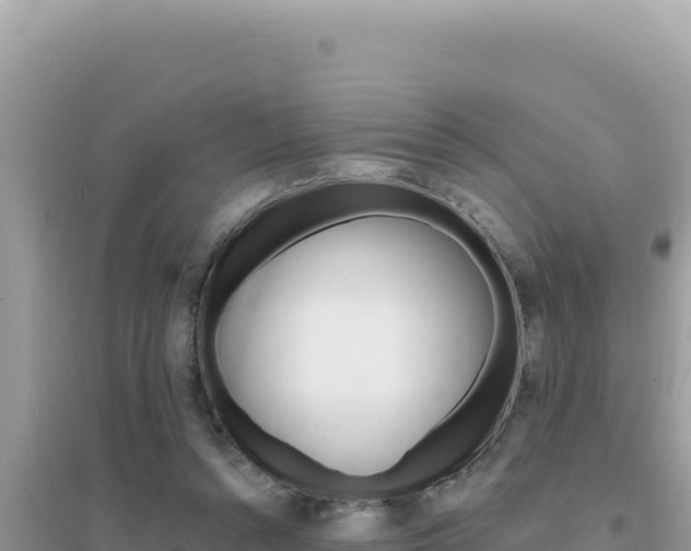 X0000095130352200712071013
