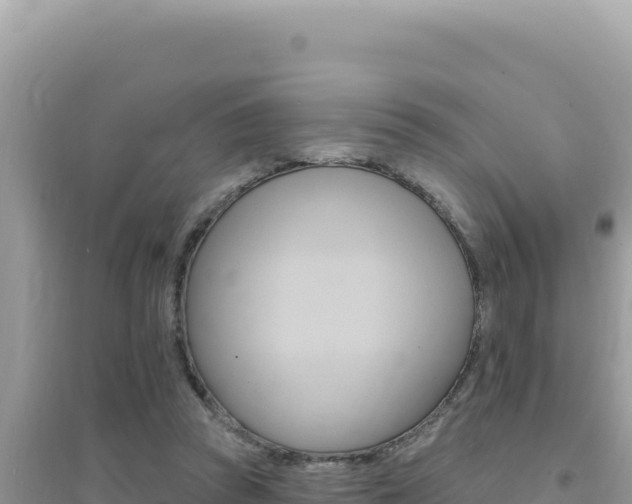 X0000095130353200712071013