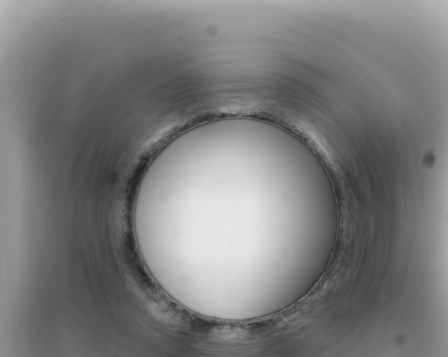 X0000095130354200712071013
