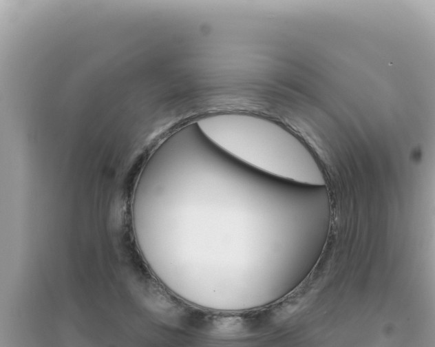 X0000095130355200712071013