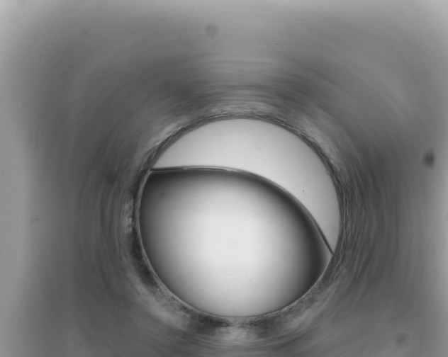 X0000095130356200712071013
