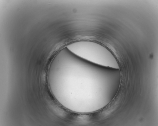 X0000095130357200712071013