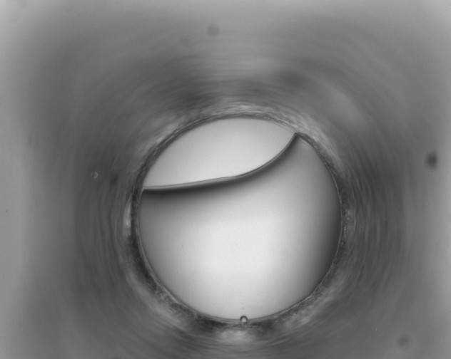 X0000095130358200712071013
