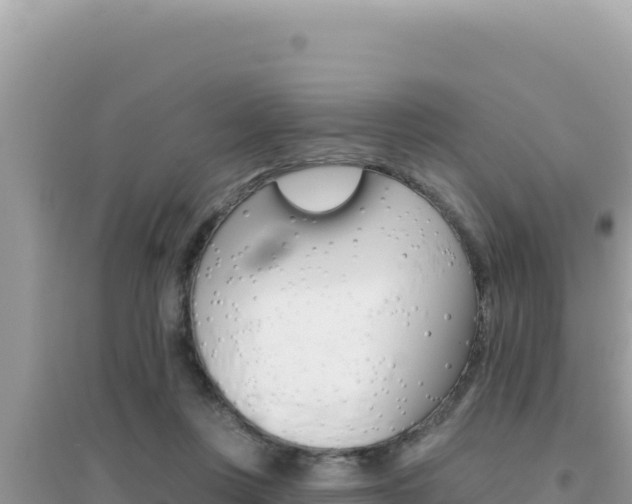 X0000095130359200712071013